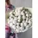 Белые пионы, букет в Днепре Белые пионы, букет в Днепре