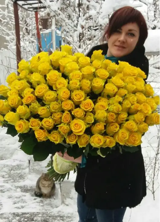 101 желтая роза в Днепропетровске 101 желтая роза в Днепропетровске