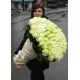 Екатерининский Екатерининский