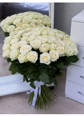 101 белая роза "Классика"