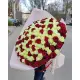 101 красно белая роза "Милан"  70см