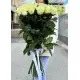 Букет из 21 метровых белых импортных роз «Mondial»