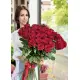 Голландские метровые розы  25 шт.