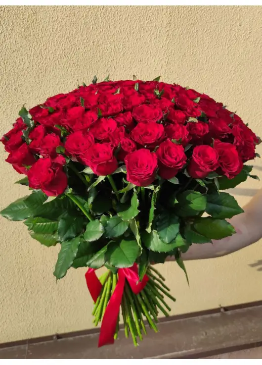 51 красная роза 51 красная роза