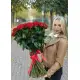 75 шикарных красных роз 75 шикарных красных роз