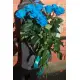 Синие розы Днепр Синие розы Днепр