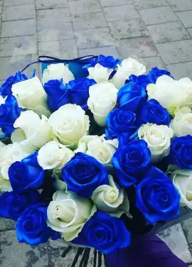 Лагуна 51 роза