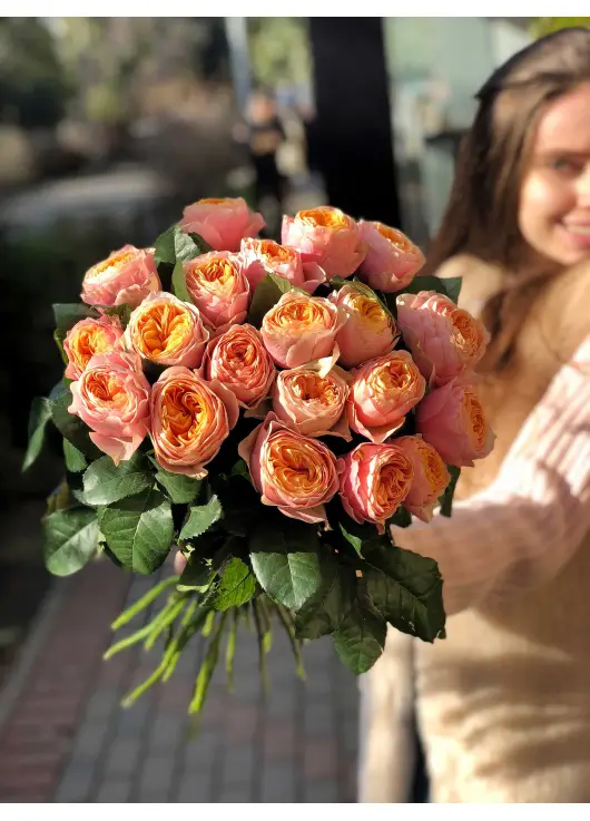 Пионовидная роза Вувузелла Пионовидная роза Вувузелла