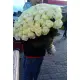 Белая роза поштучно Днепр Белая роза поштучно Днепр