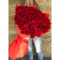 101 метровая роза