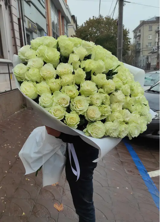 101 метровая белая роза 101 метровая белая роза