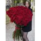 Гигантские розы 120-150 см Гигантские розы 120-150 см