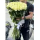 51 белая метровая роза 51 белая метровая роза