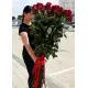 Метровые Роскошные розы в Днепре Метровые Роскошные розы в Днепре