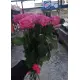 Розовые розы Днепр Розовые розы Днепр