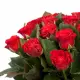Красные розы Эль-тора 19шт. Красные розы Эль-тора 19шт.