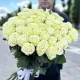 Белая роза поштучно Днепр Белая роза поштучно Днепр