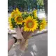 Букет подсолнухов "Хуторянка" Букет подсолнухов "Хуторянка"