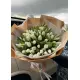 101 белый тюльпан 101 белый тюльпан