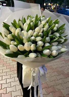101 белый тюльпан 