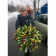 Радужная весна 151 тюльпан Радужная весна 151 тюльпан
