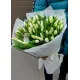 Букет из 101 белых тюльпанов (импорт, Голландия)