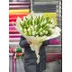 Букет из 101 белых тюльпанов (импорт, Голландия)