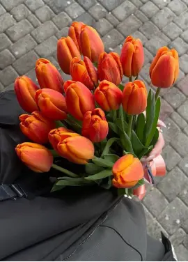 Букет из 15 оранжевых тюльпанов (импорт, Голландия)
