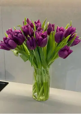 Букет из 19 фиолетовых тюльпанов (импорт, Голландия)
