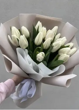 Букет из 19 белых тюльпанов (импорт, Голландия)