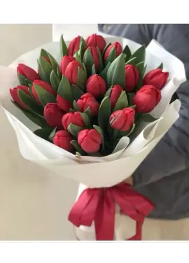 Букет из 21 красных тюльпанов (импорт, Голландия)