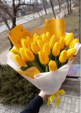 Букет из 21 желтых тюльпанов (импорт, Голландия)