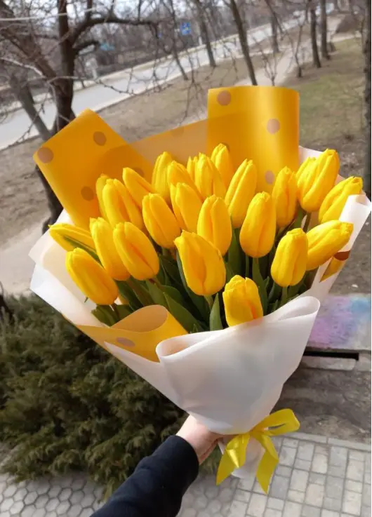 Букет из 21 желтых тюльпанов (импорт, Голландия)