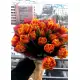Букет из 25 оранжевых тюльпанов (импорт, Голландия)