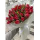 Букет из 25 красных тюльпанов (импорт, Голландия)