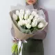 Букет из 25 белых тюльпанов (импорт, Голландия)