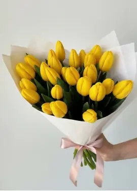 Букет из 25 желтых тюльпанов (импорт, Голландия)