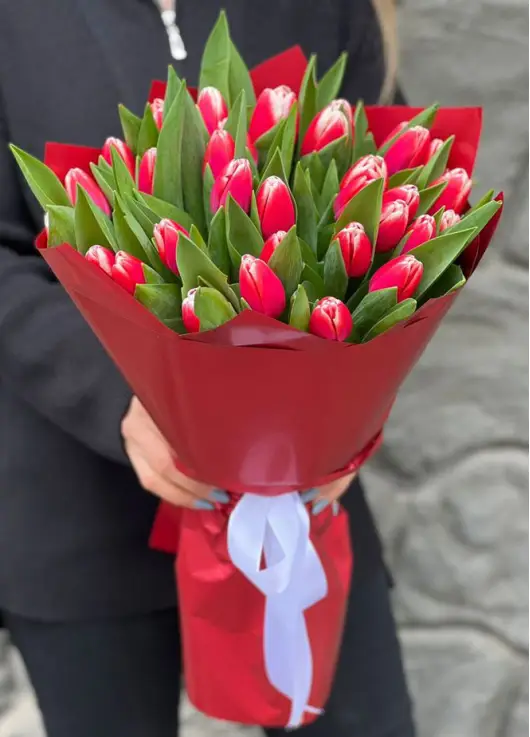 Букет из 35 красных тюльпанов (импорт, Голландия)