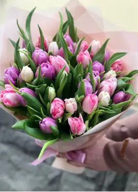 Букет из 35 нежных тюльпанов (импорт, Голландия)