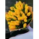 Букет из 35 желтых тюльпанов (импорт, Голландия)