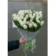 Белый лебедь 51 белый тюльпан Белый лебедь 51 белый тюльпан