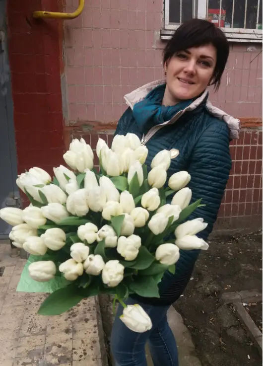 Белый лебедь 51 белый тюльпан Белый лебедь 51 белый тюльпан