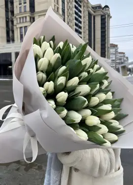Белый лебедь 51 белый тюльпан