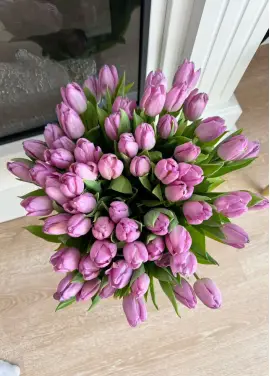 Букет из 51 фиолетовых тюльпанов (импорт, Голландия)