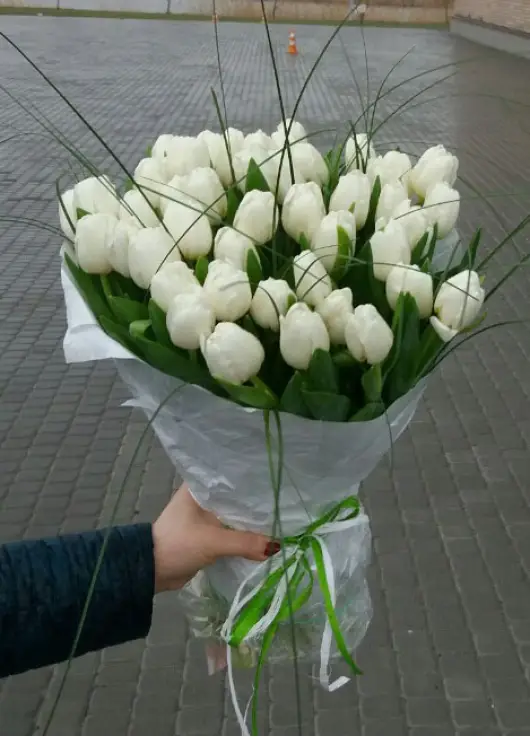 Букет из 51 белых тюльпанов (импорт, Голландия)