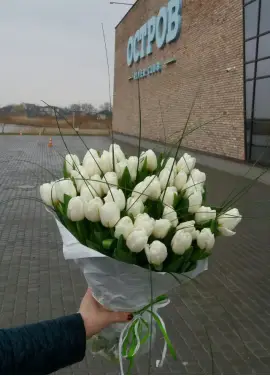 Букет из 51 белых тюльпанов (импорт, Голландия)