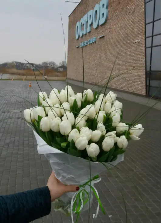 Букет из 51 белых тюльпанов (импорт, Голландия)