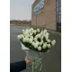 Букет из 51 белых тюльпанов (импорт, Голландия)