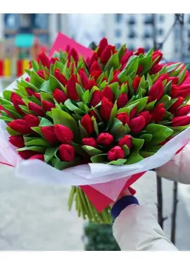 Букет из 75 красных тюльпанов (импорт, Голландия)