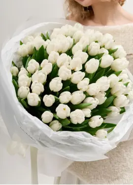 Букет из 75 белых тюльпанов (импорт, Голландия)